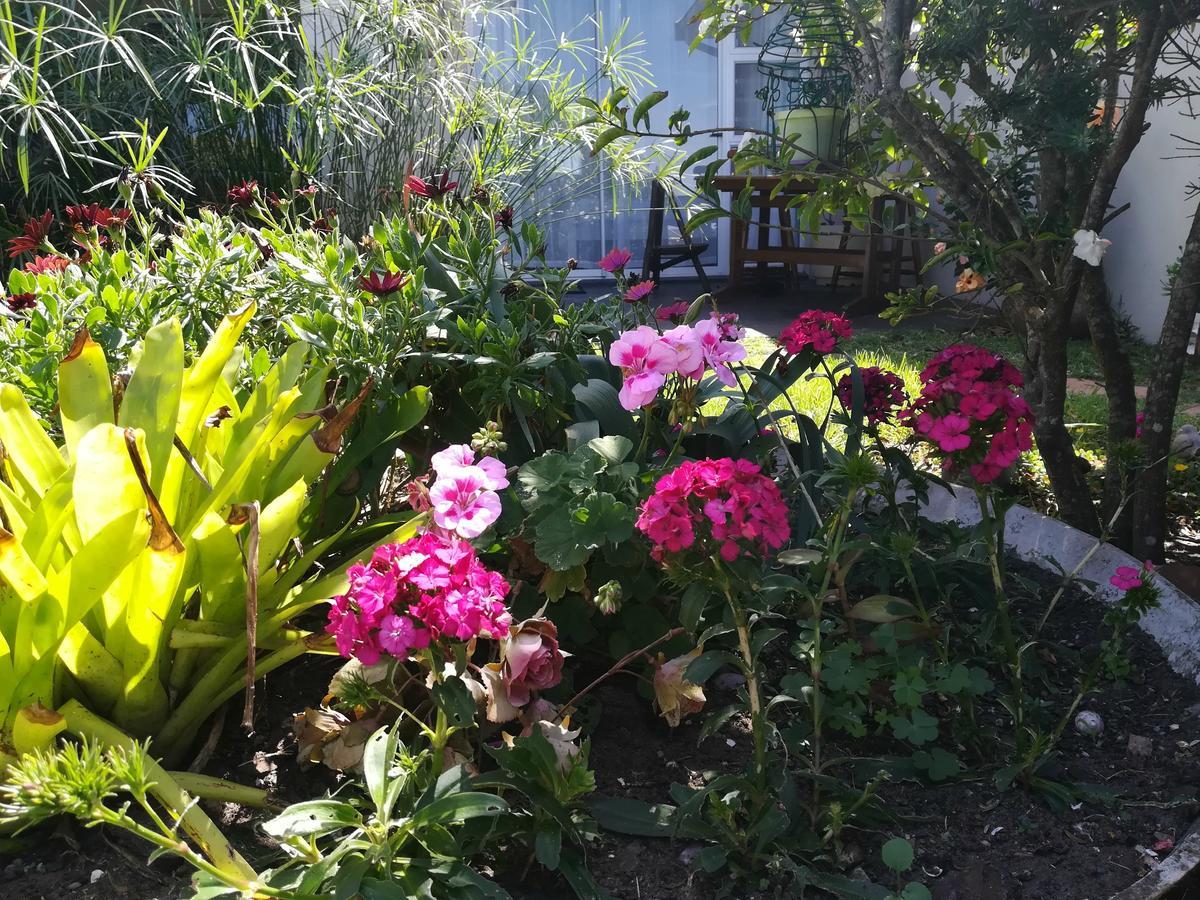 The Coelacanth Guest House And Beach Thyme Self Catering Kiddʼs Beach Екстериор снимка
