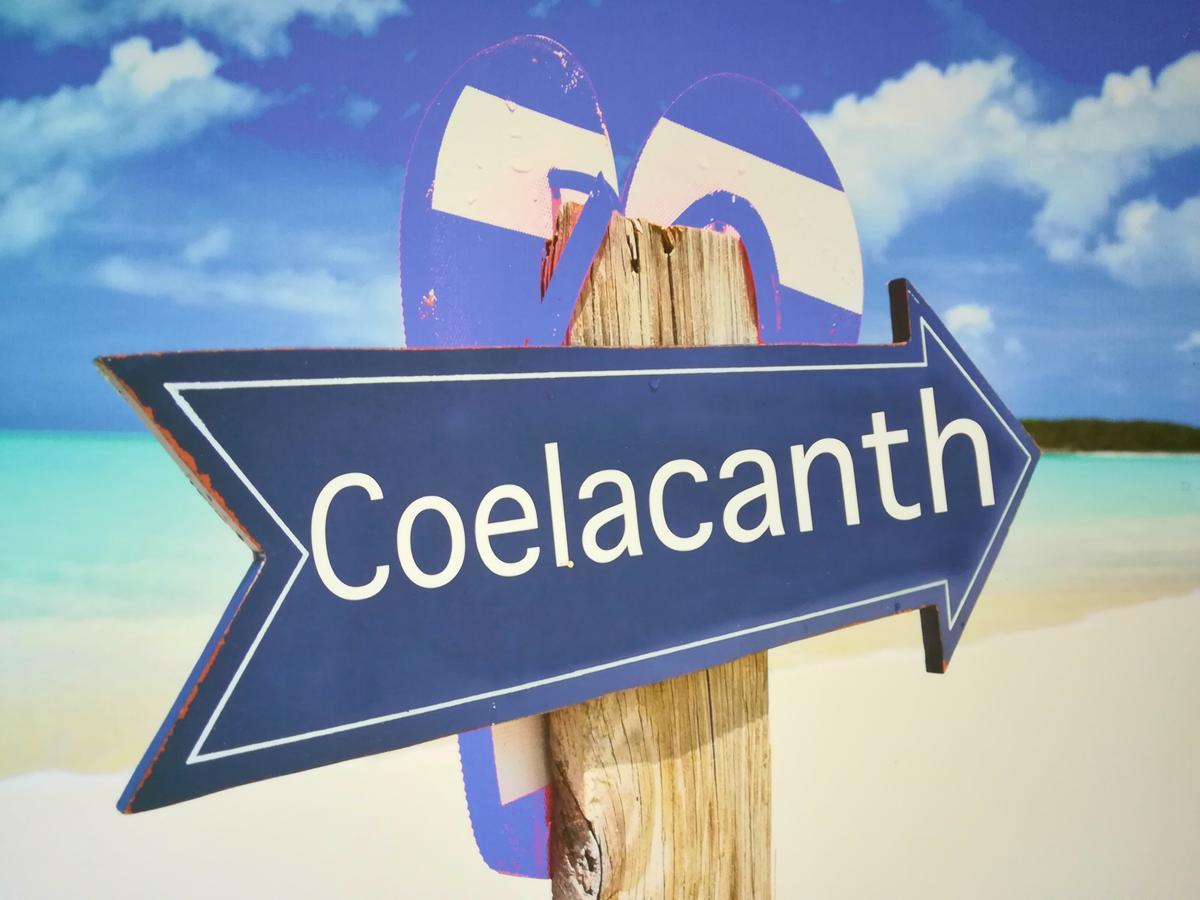 The Coelacanth Guest House And Beach Thyme Self Catering Kiddʼs Beach Екстериор снимка