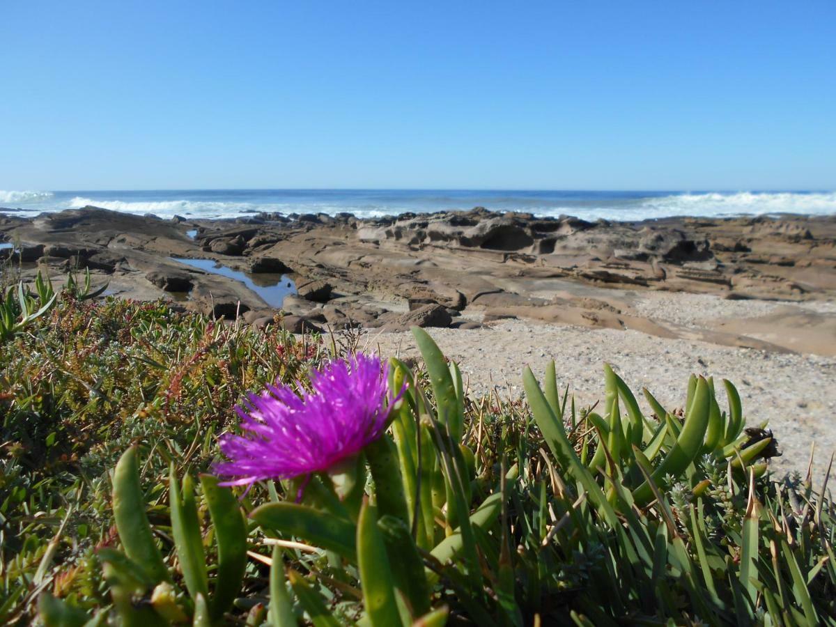 The Coelacanth Guest House And Beach Thyme Self Catering Kiddʼs Beach Екстериор снимка